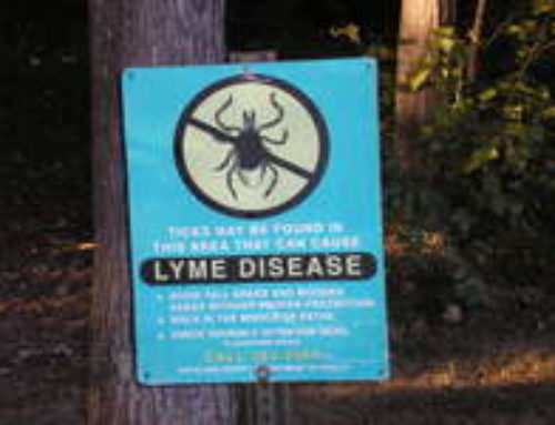 Lyme Disease: How Nutritionally Yours Can Help