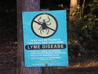 Done Oct28 2016 lyme disease warning sign Lyme Disease