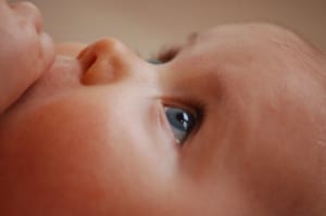 Precious Baby Head pexels photo