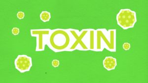 environmental toxins
