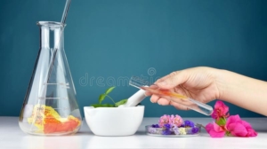 natural organic medicine healthcare alternative plant medicine mortar herbal extraction laboratory glassware natural 111455651