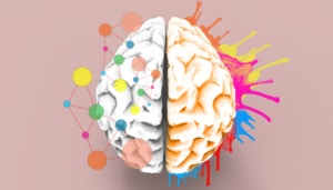brain color
