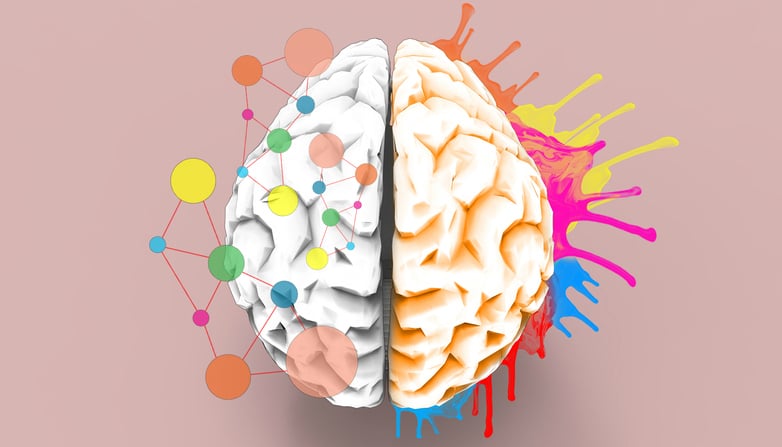 brain color brain balance,brain balance atlanta
