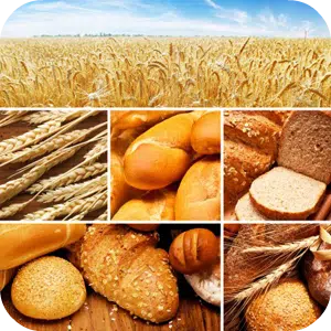 Best #1 Gluten Intolerance Test Atlanta Ga / Nutritionist