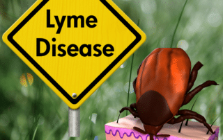 how serious is lyme disease