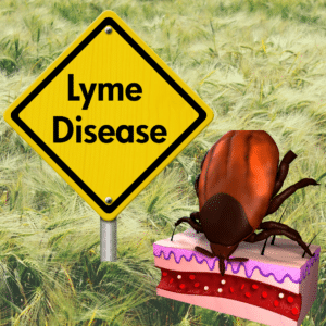 what can happen with lyme disease