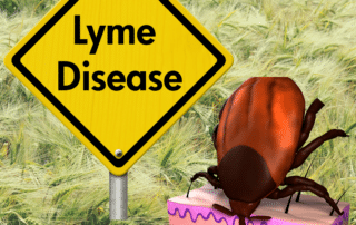 what can happen with lyme disease