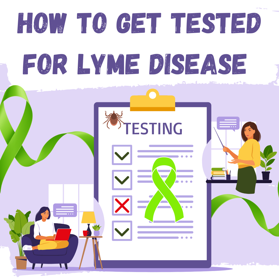 How to Get Tested for Lyme Disease