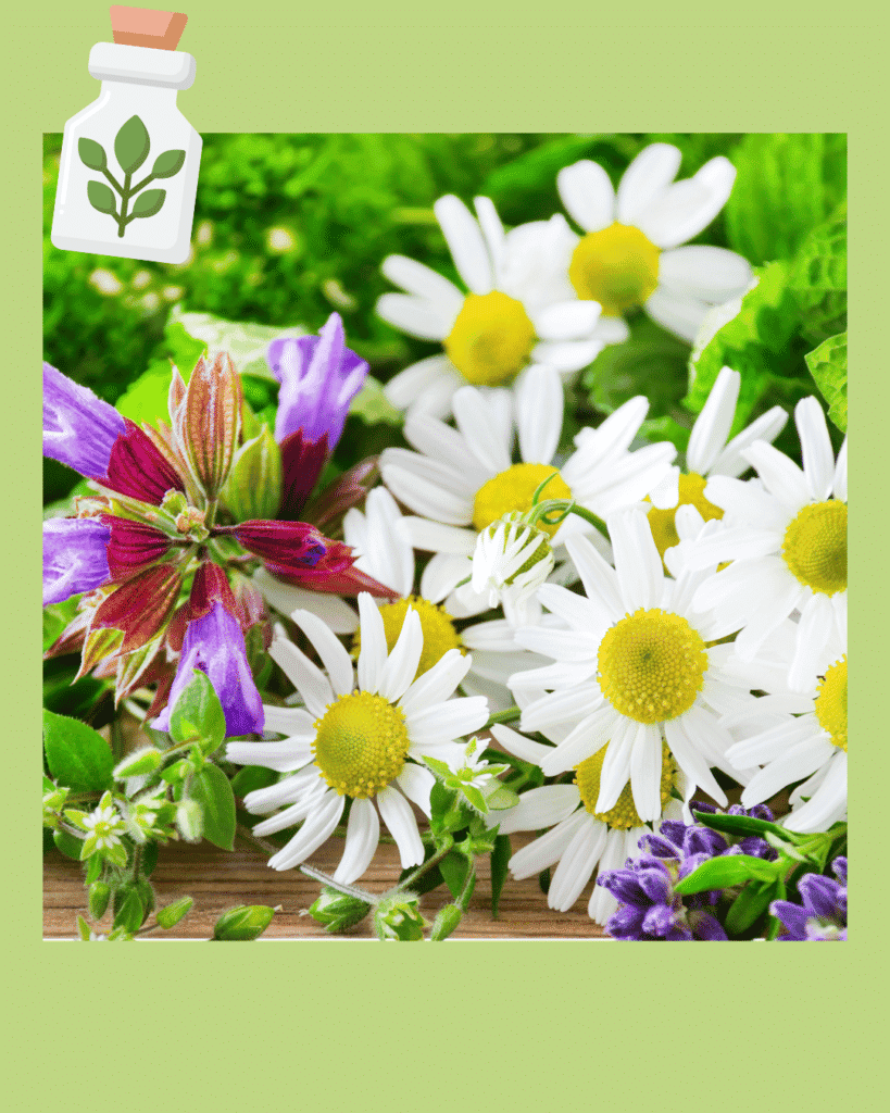 Atlanta naturopath Atlanta