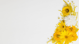 atlanta functional medicine | Functional Medicine Atlanta, GA