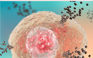 What causes mast cell activation? Learn natural remedies to ease Mast Cell.