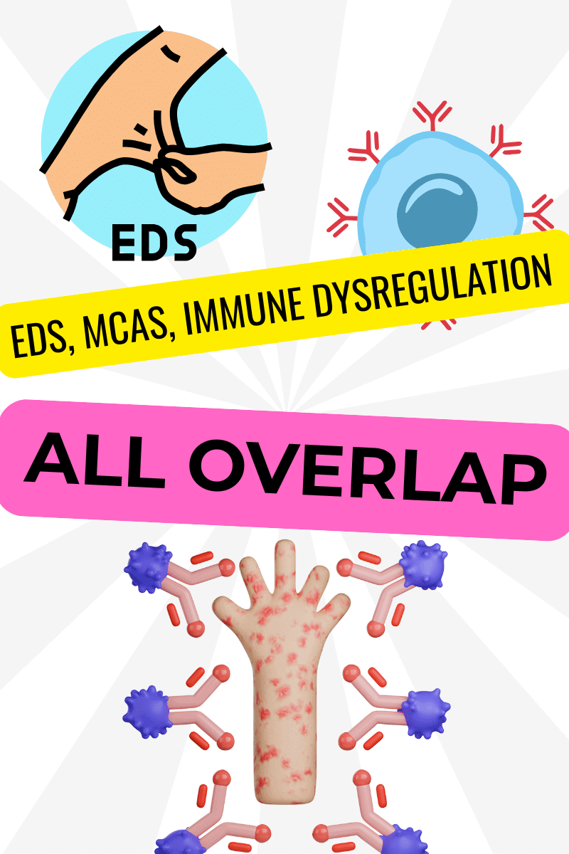 EDS mast cell inflammation