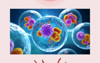 Lyme immune inflammation