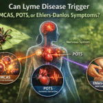 Lyme disease MCAS POTS EDS