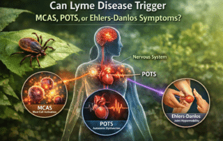 Lyme disease MCAS POTS EDS