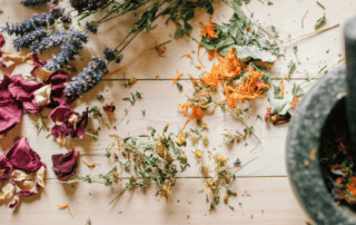 naturopath near me