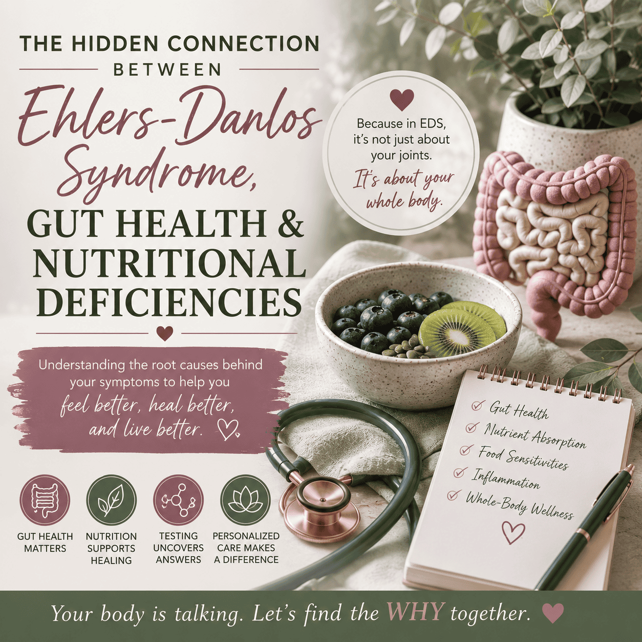 Ehlers Danlos gut health