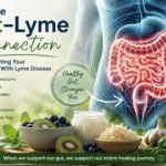 Lyme disease and gut health