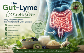 Lyme disease and gut health